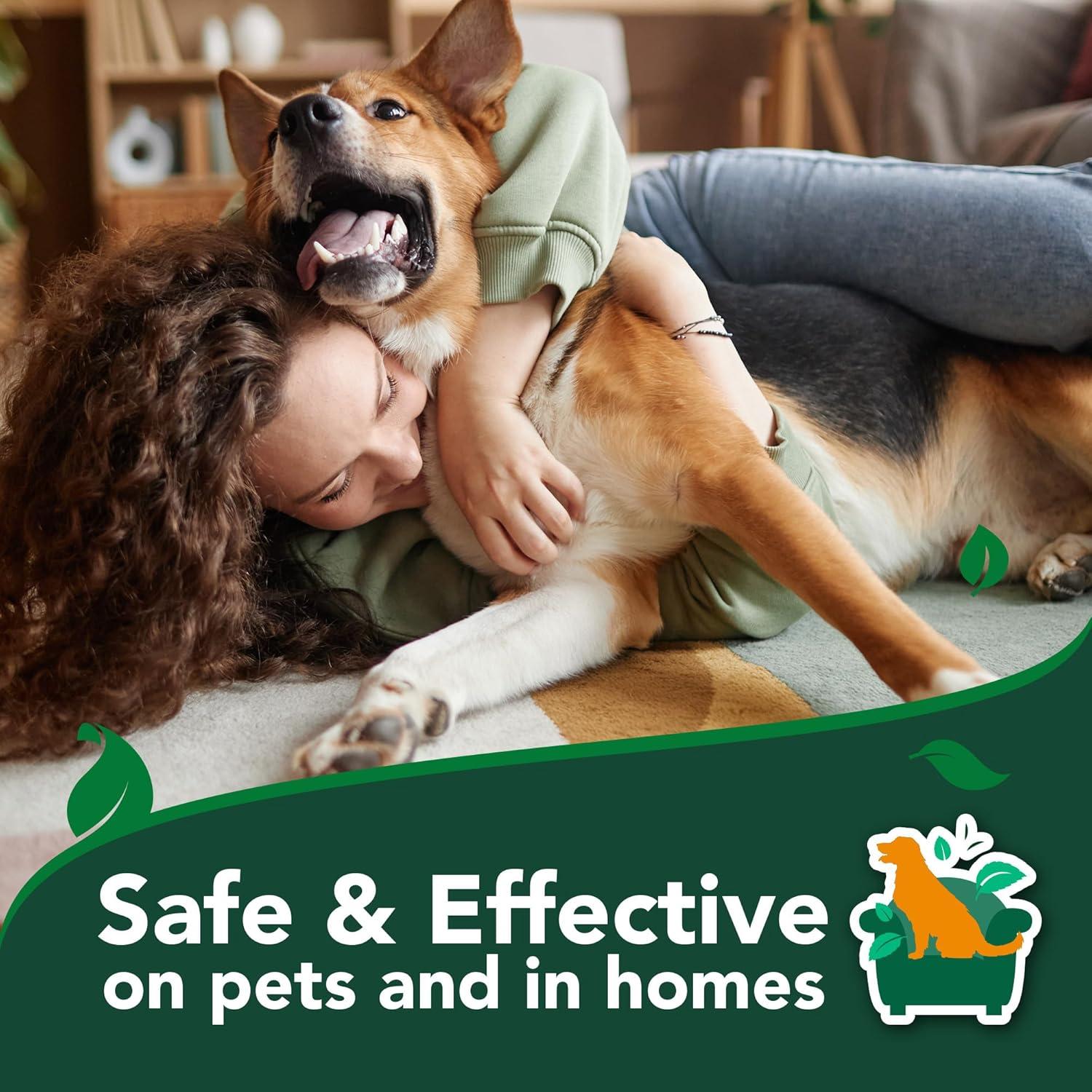 Best Flea & Tick Spray – Vet’s Best Indoor Flea and Ticks Review