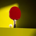 Best Table Tennis Paddles – PRO-SPIN ITTF Approved Carbon Fiber Racket Review
